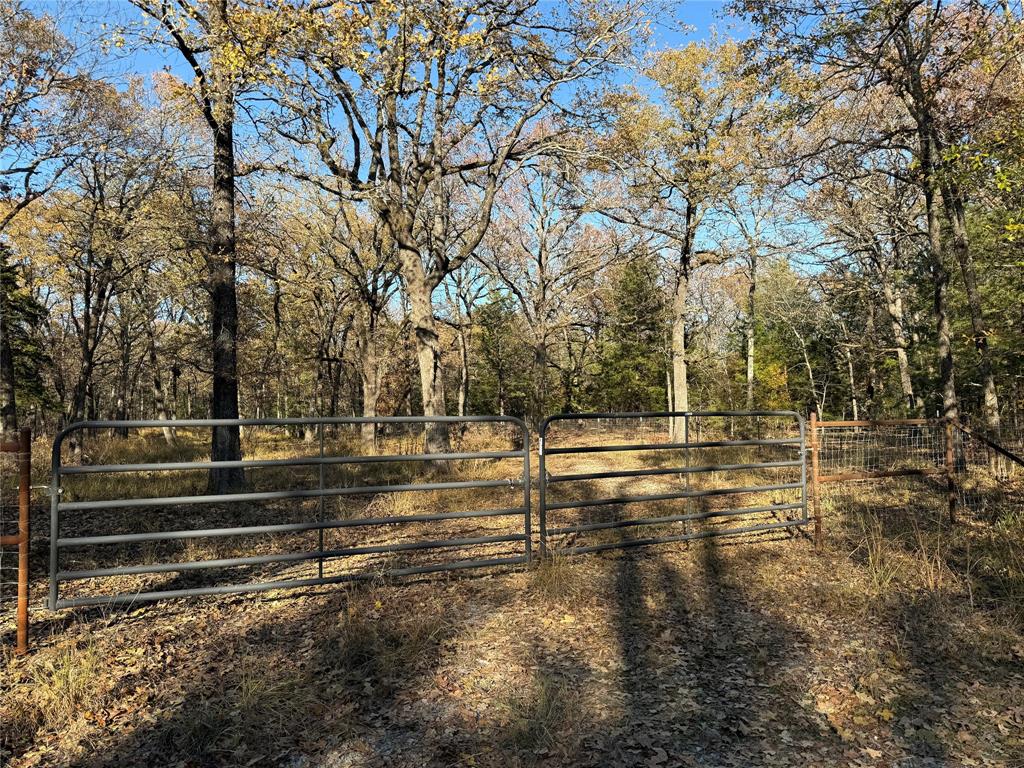 a view of yard with large trees