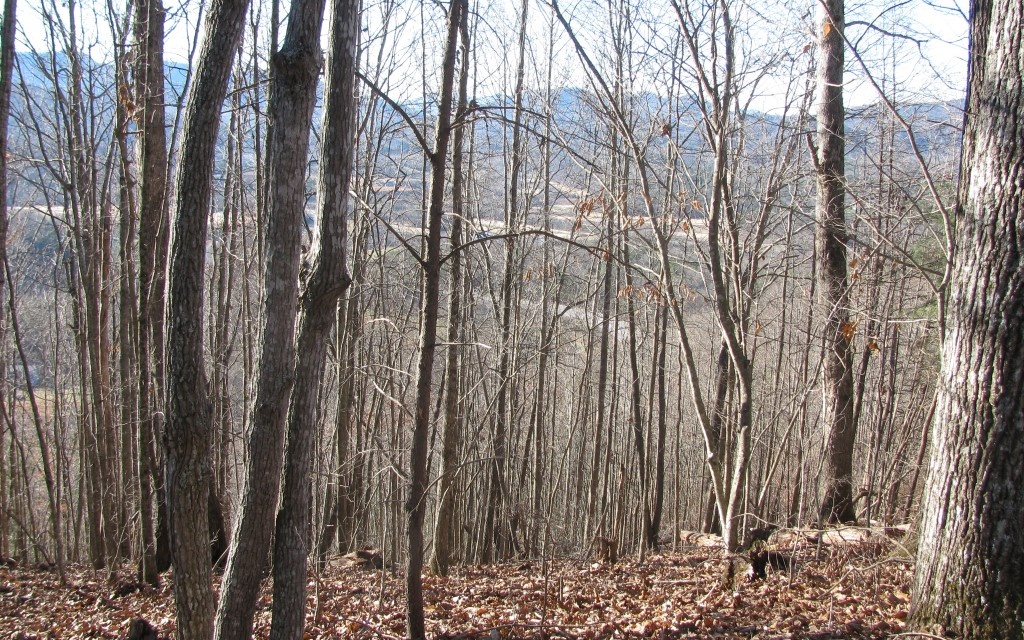 a view of outdoor space with a wooden fence