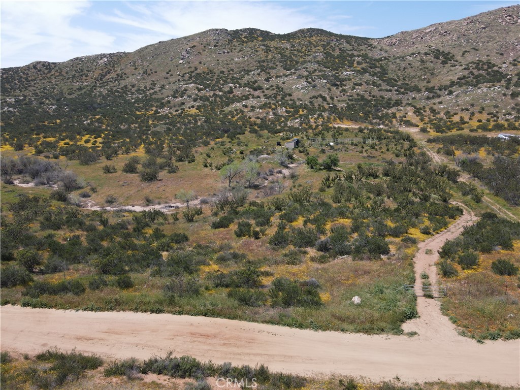 a view of a forest with mountains in the background