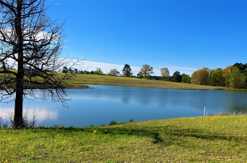 a view of a lake