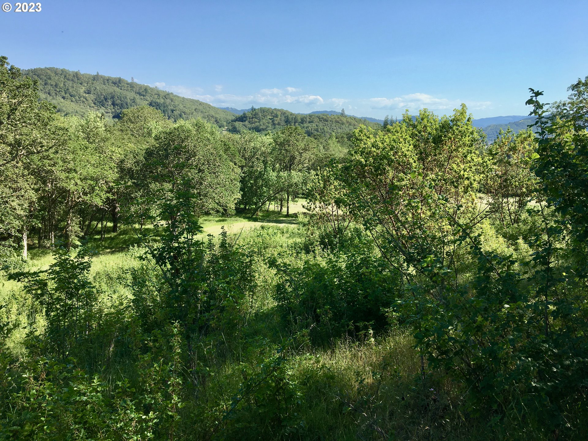 a view of a city with lush green forest