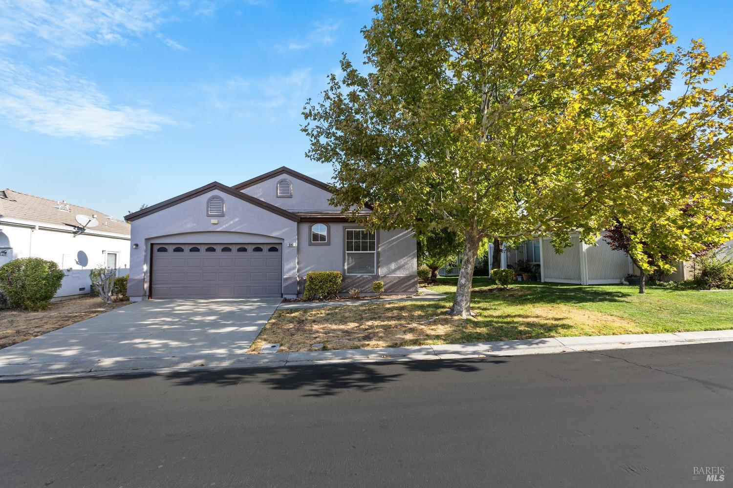 a view of large house with a big yard and large tree