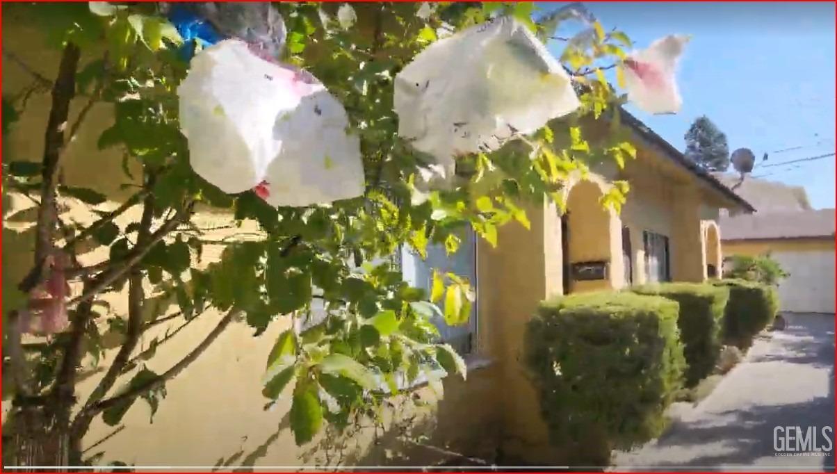 a front view of a house with a yard and plants