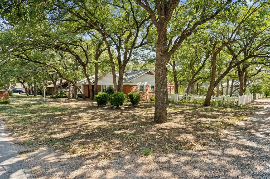 a view of a tree in the middle of a yard