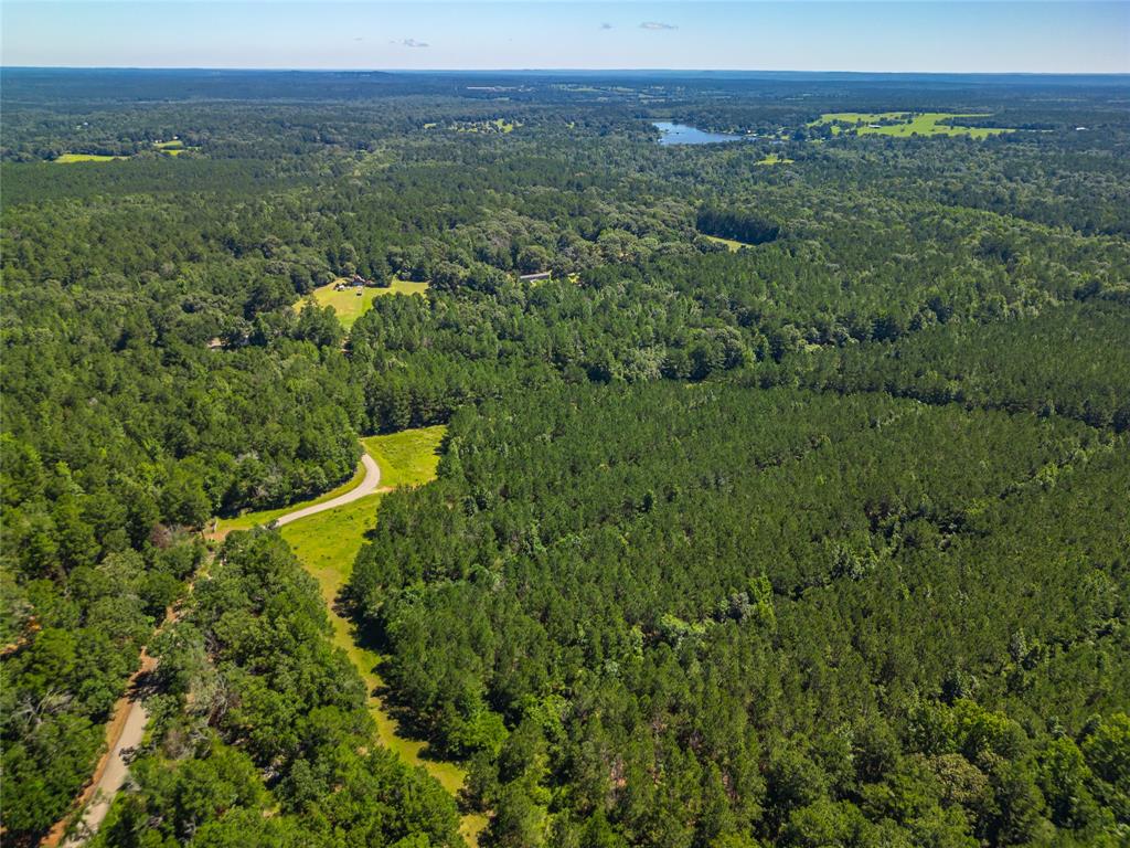 a view of a city with lush green forest