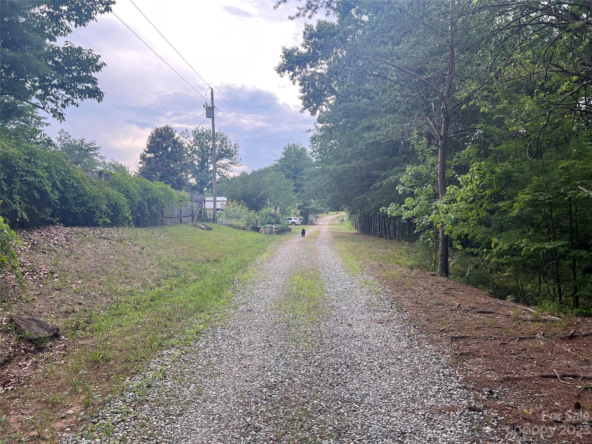 a view of a yard with a tree