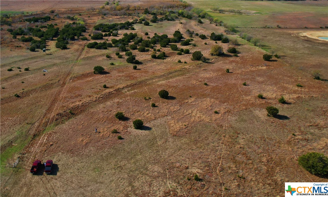 a view of a dry yard with lots of trees