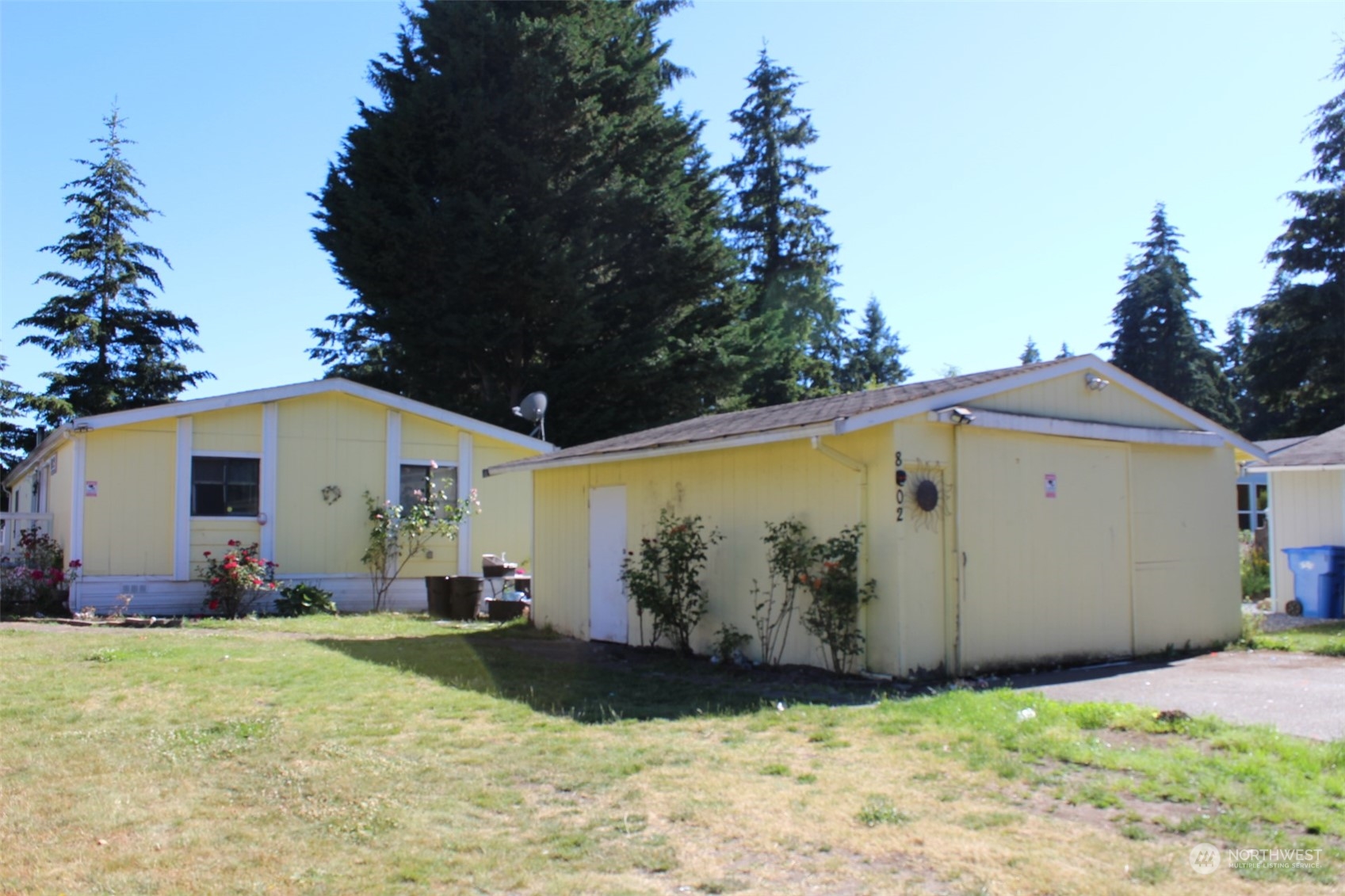 a view of a backyard