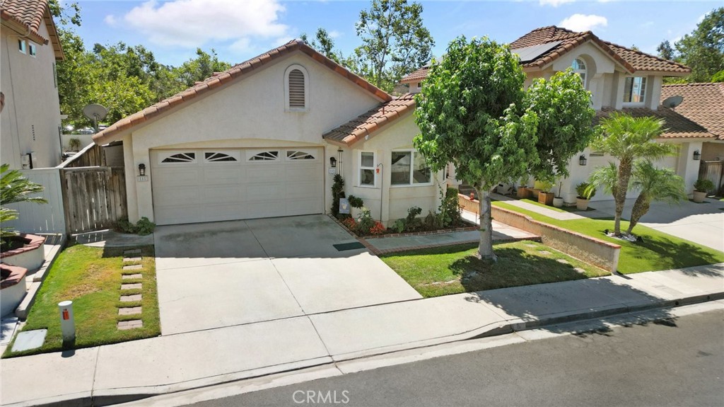 a view of a back yard of the house