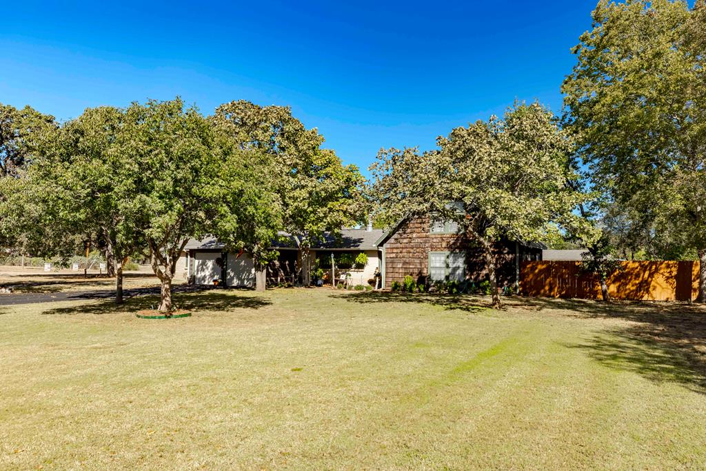 a view of a yard with a tree