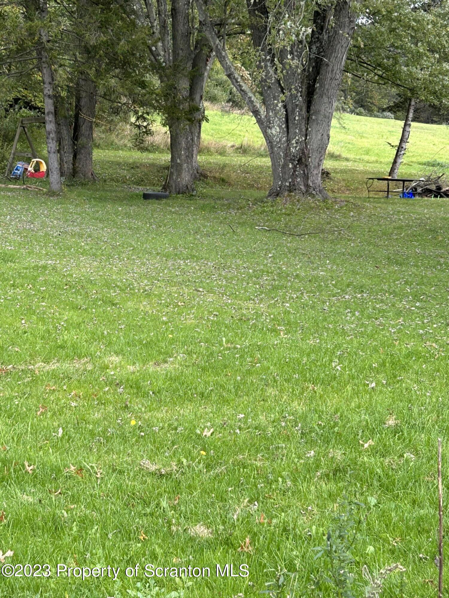 a huge green field with lots of trees