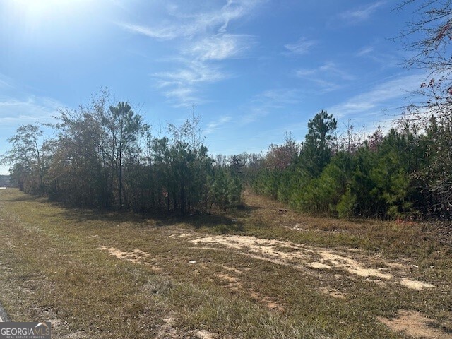 a view of a field with trees in background