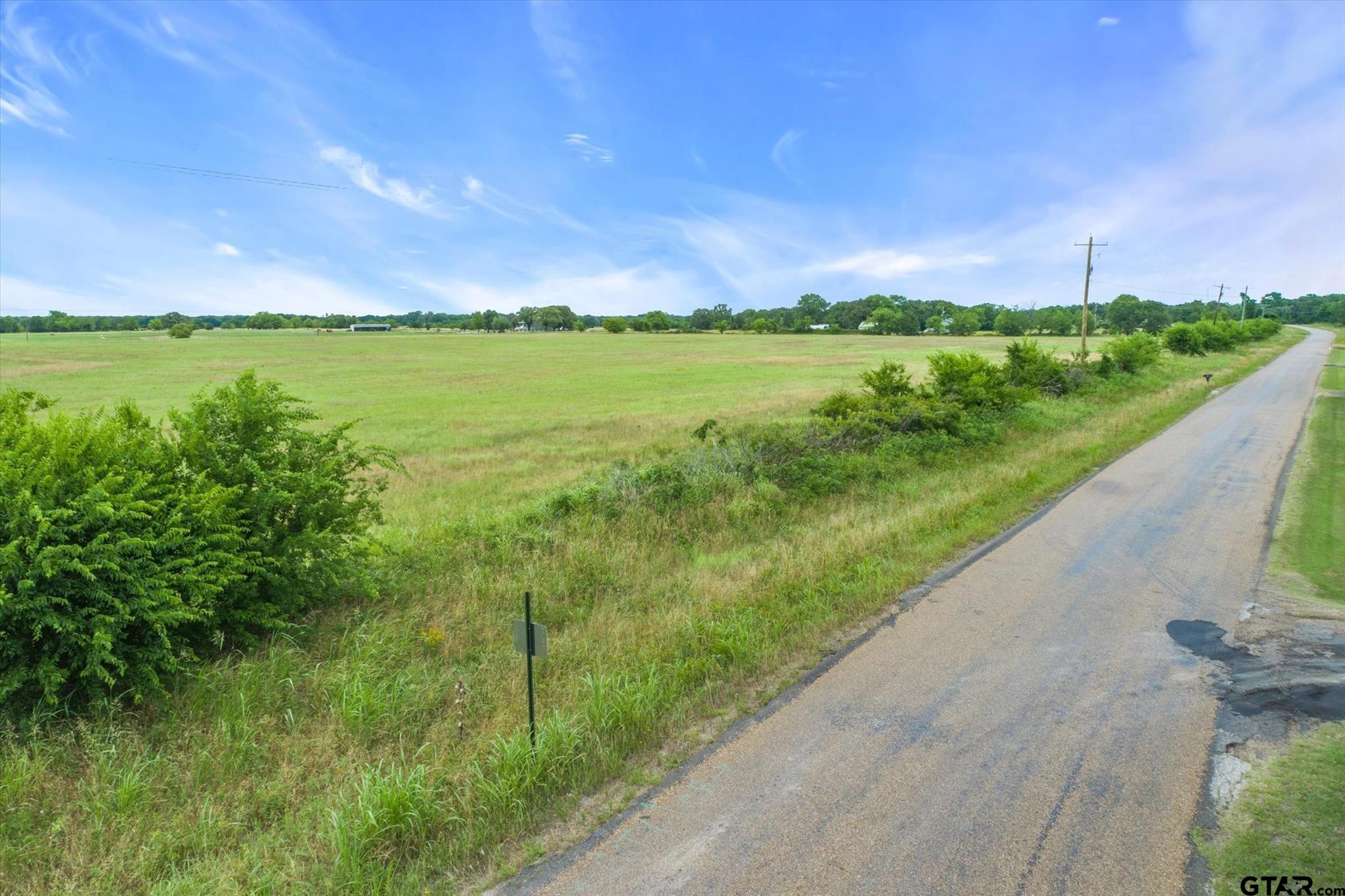 a view of a green field with lots of green space in the back