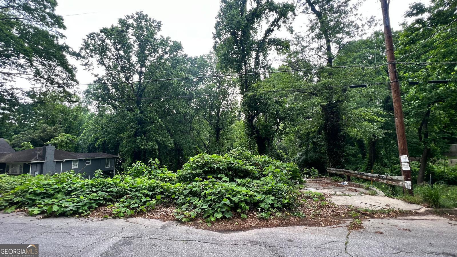 a view of backyard with green space