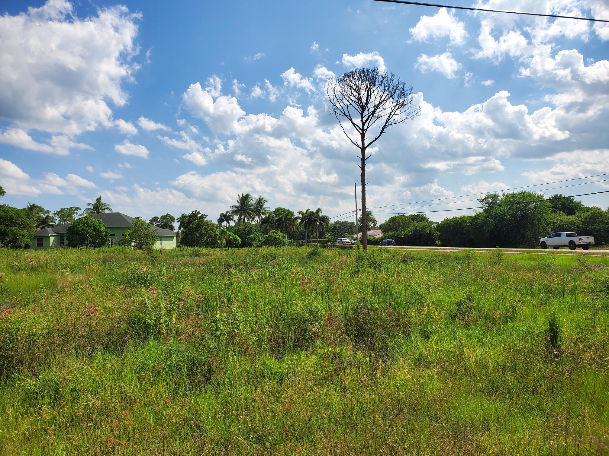 a view of a big yard