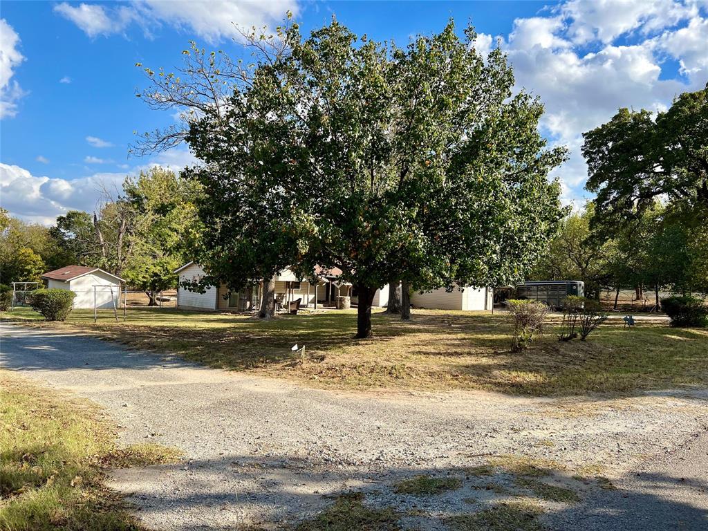 a view of a yard with large trees