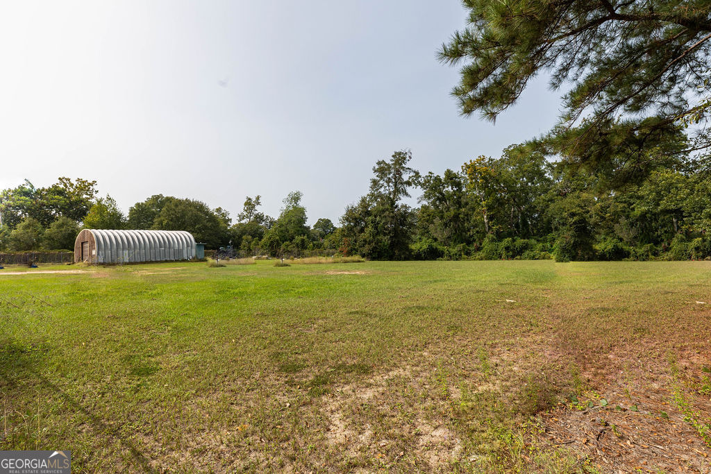 a view of a field with an tree