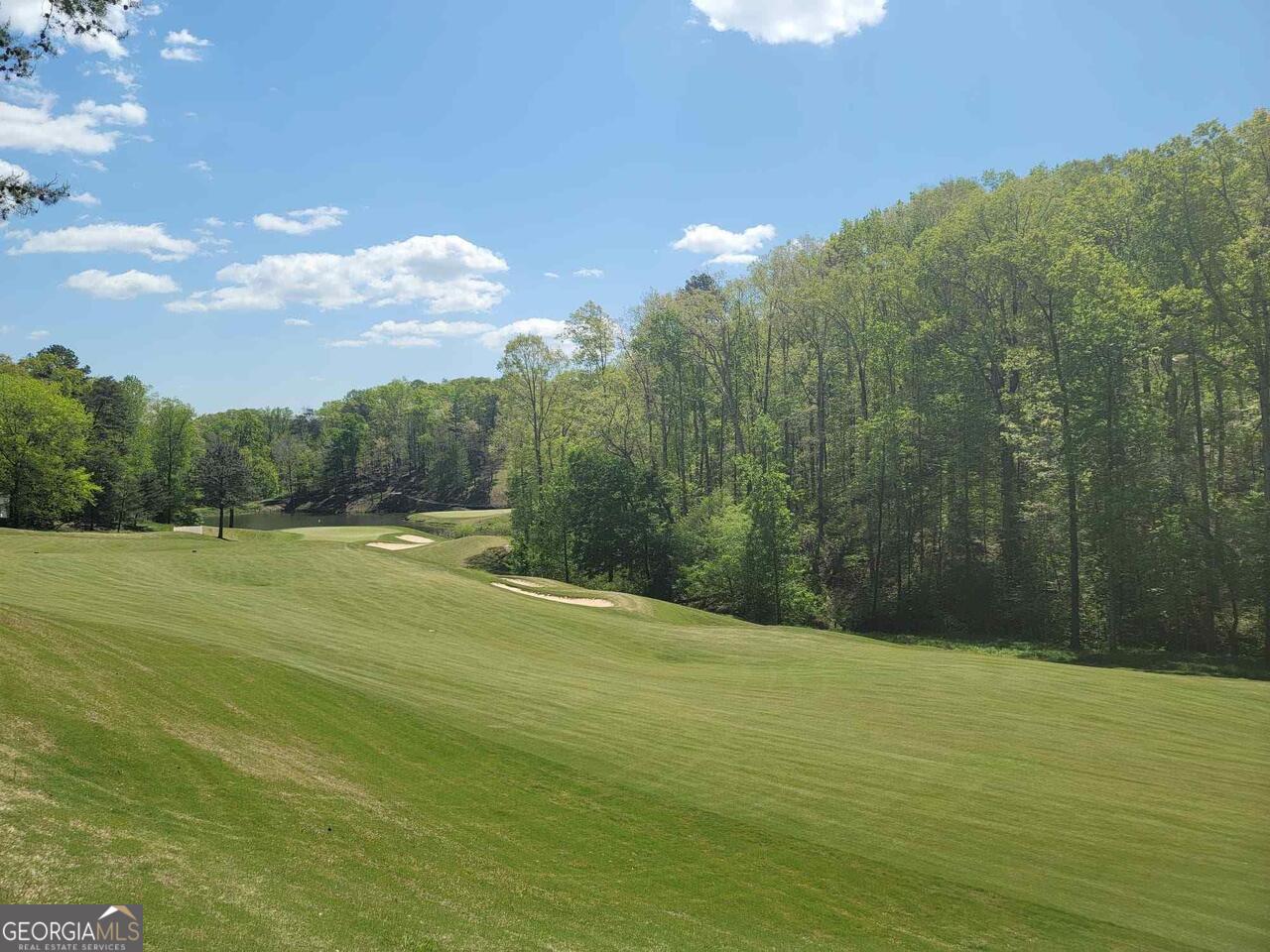 a view of a big yard with large trees