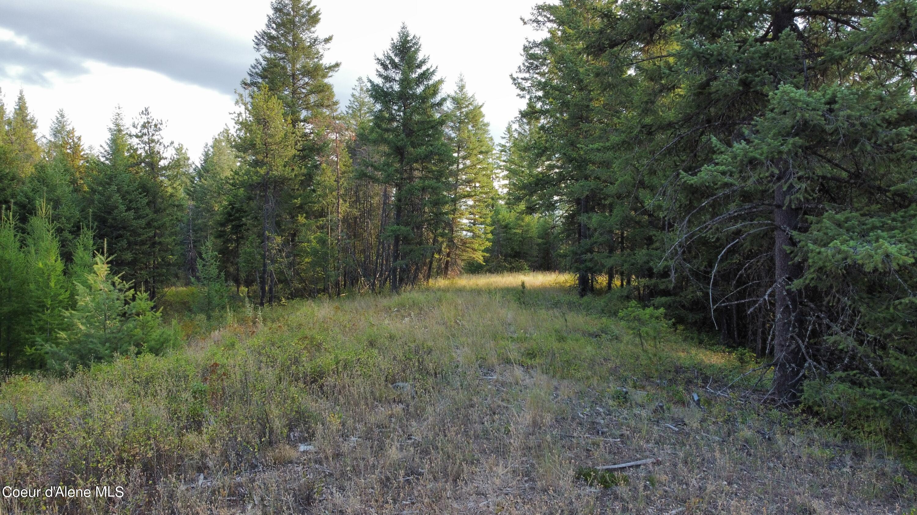 Entrance onto property