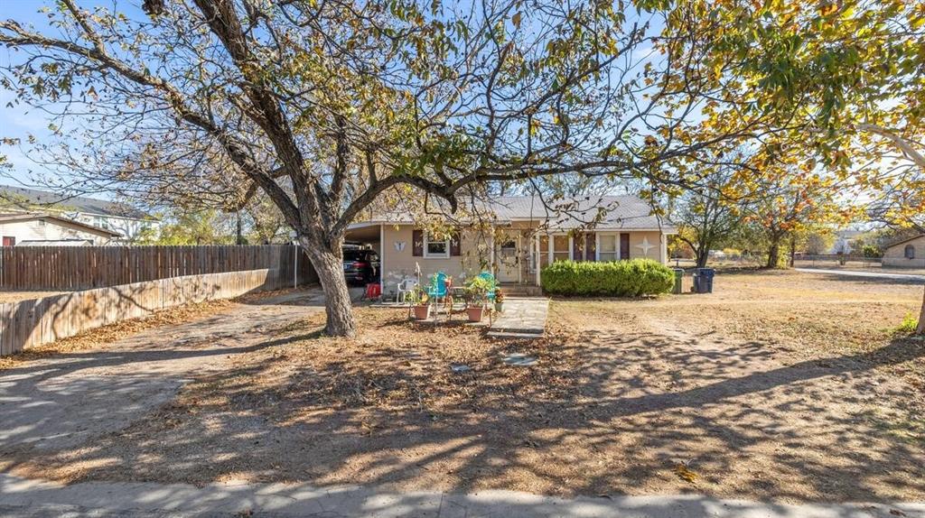 a view of a yard with a tree