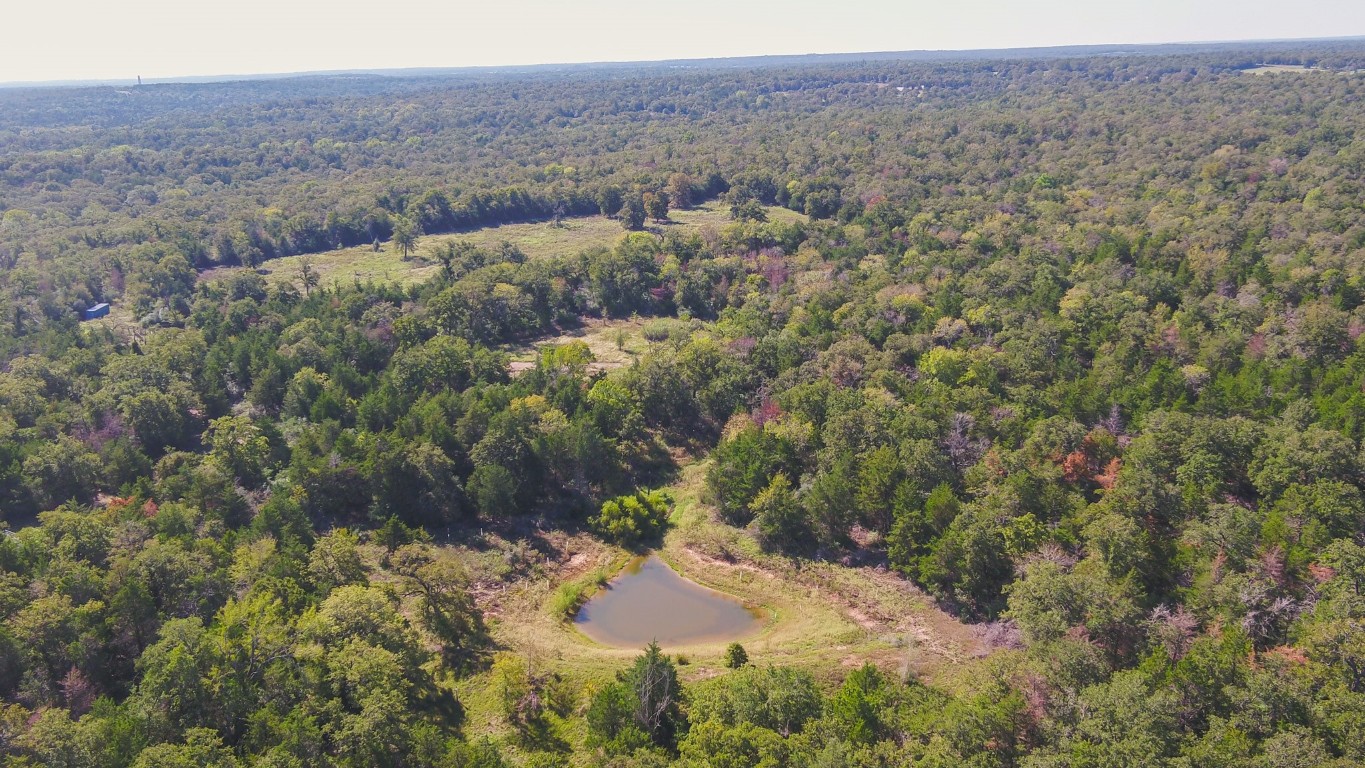 a view of a forest with a yard