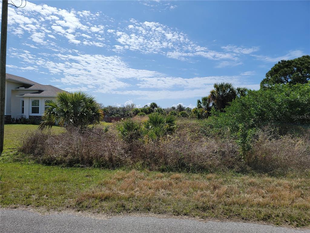 a view of a yard in front of a house