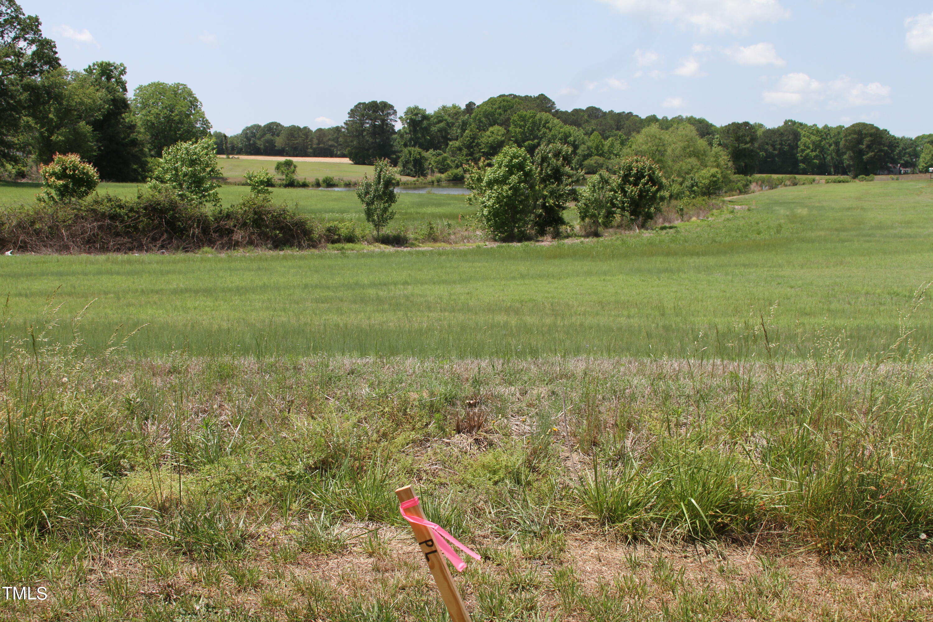 a view of a field with an trees