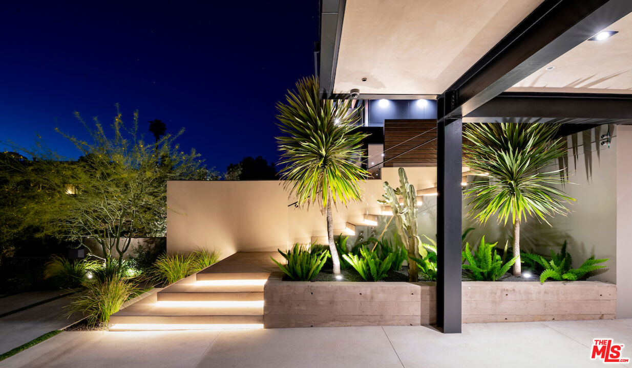 a view of potted plants next to a road