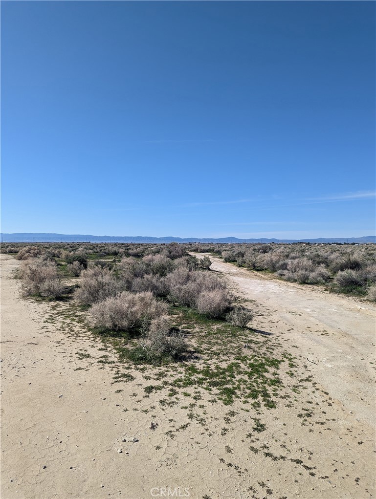 a view of beach and ocean