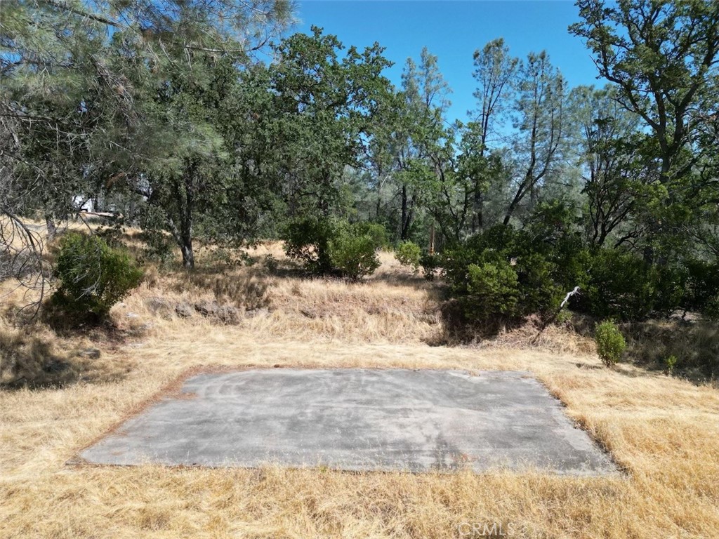 a view of a yard with trees