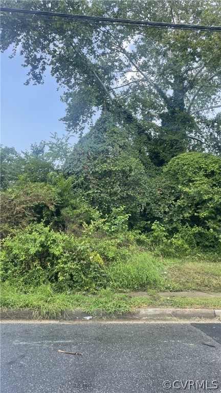 a view of a yard with a tree