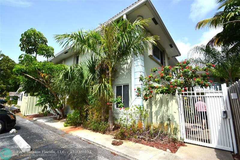 a plant that is in front of a house