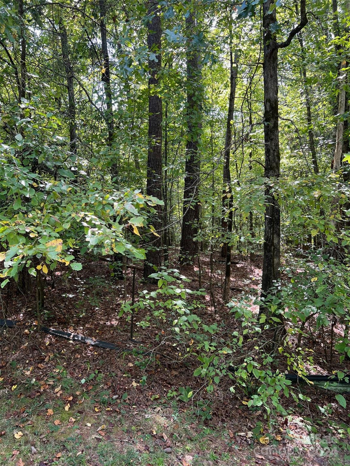 a view of outdoor space and covered with trees