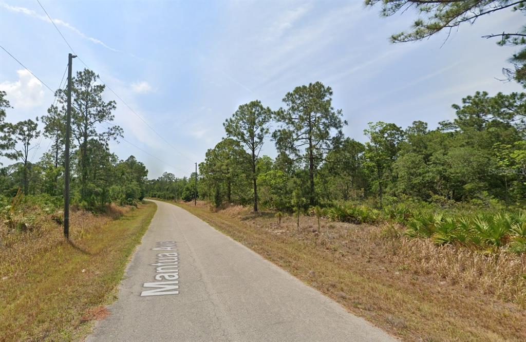 a view of a road with a yard