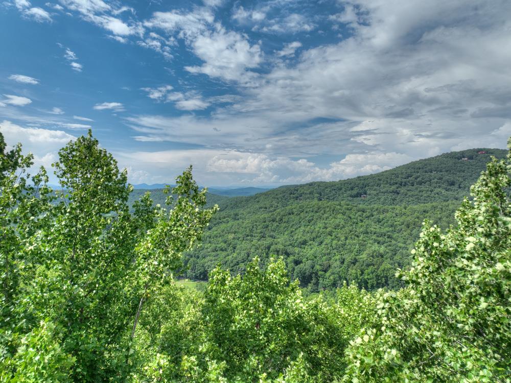 a view of a bunch of trees