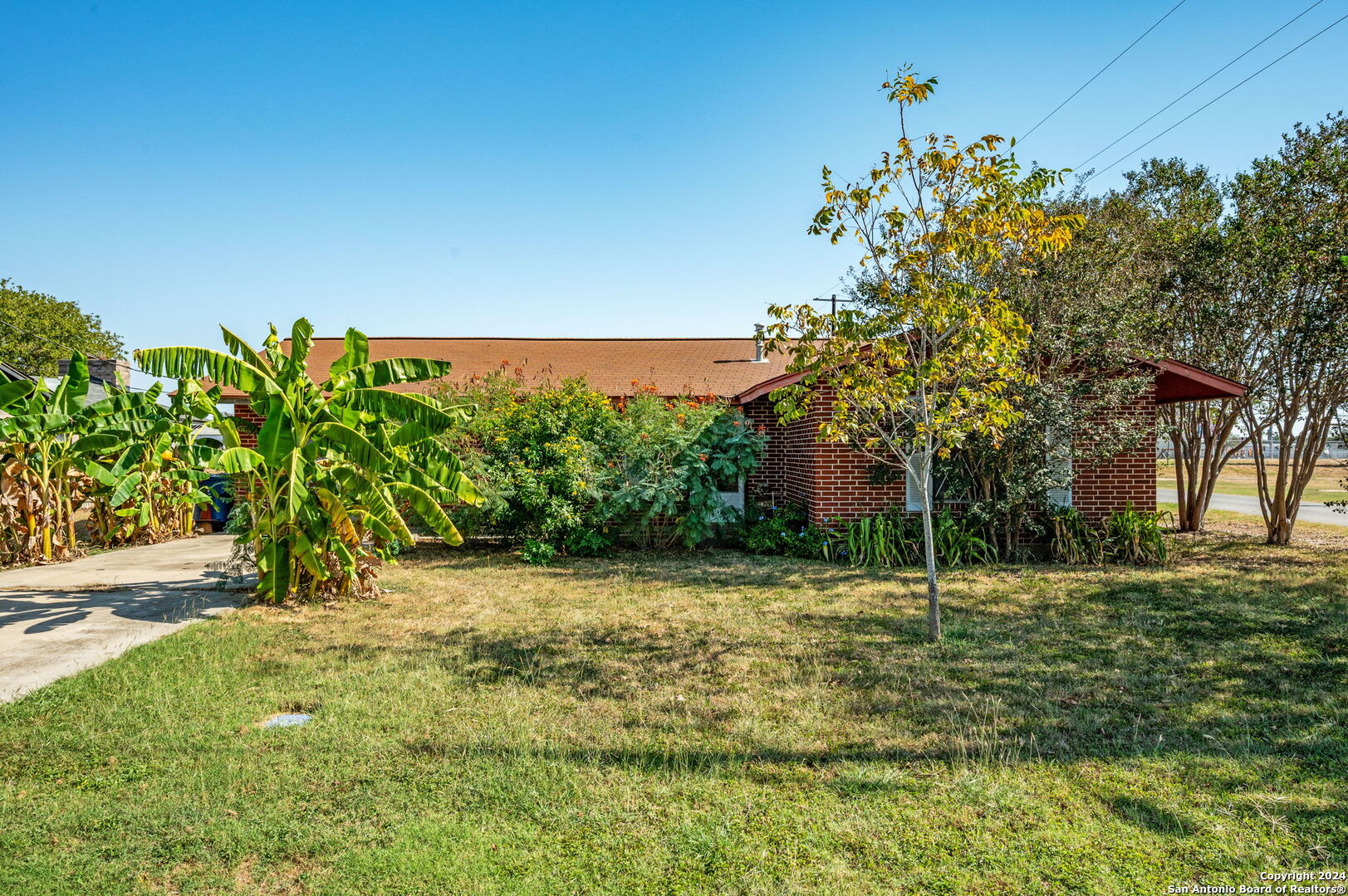 a backyard of a house with lots of green space