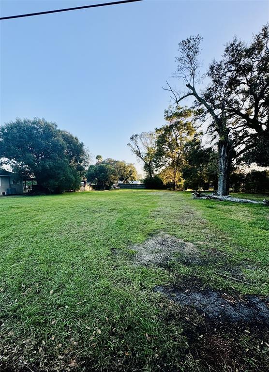 a view of a grassy field with trees