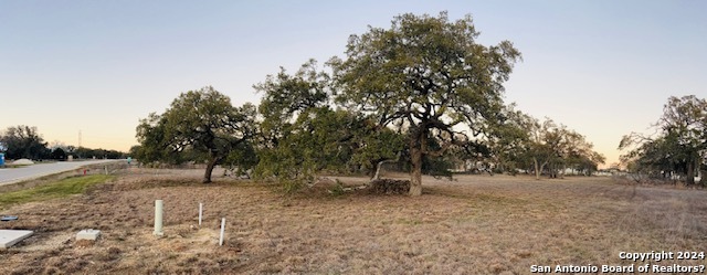 a view of outdoor space with trees