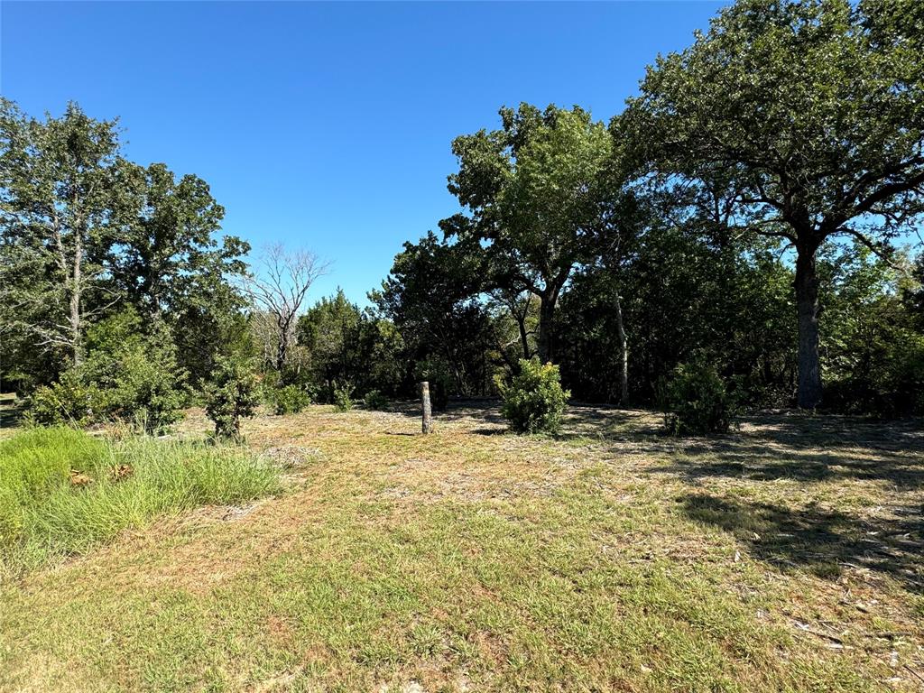 a view of a yard with trees