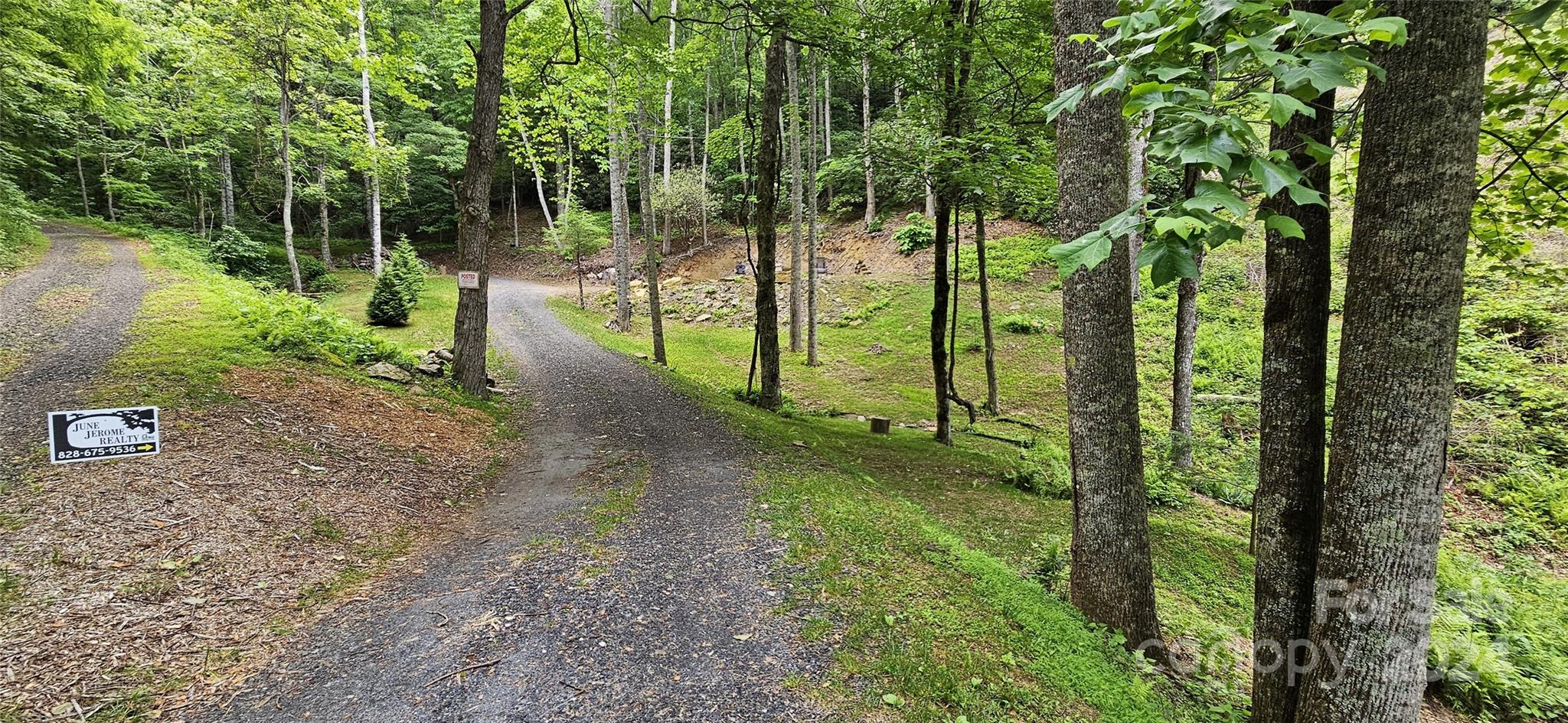 a view of a garden with large trees