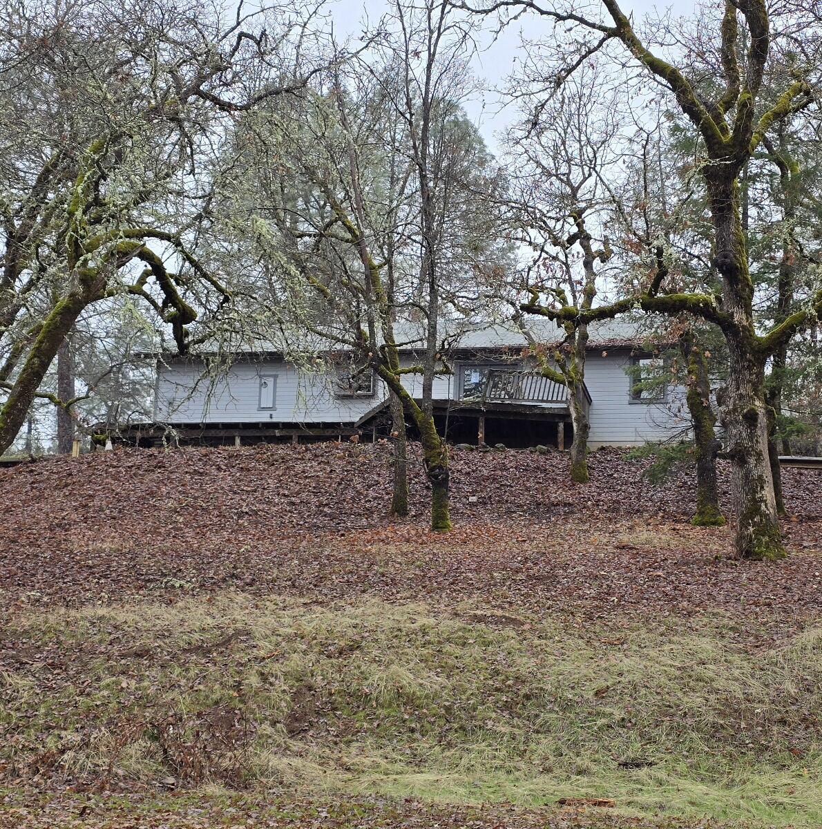 a view of a backyard with large trees