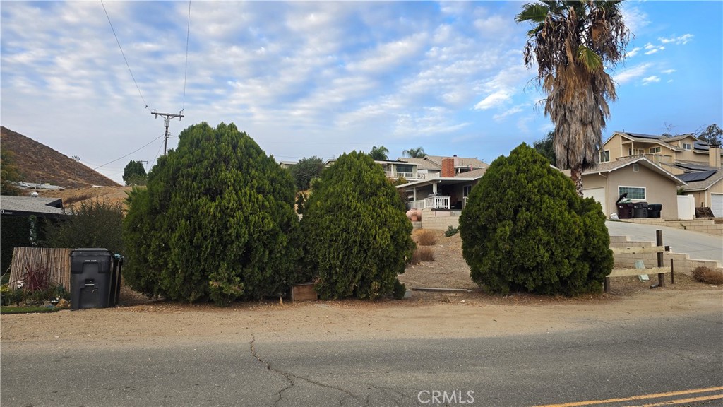 a couple of potted plants sitting in front of a house