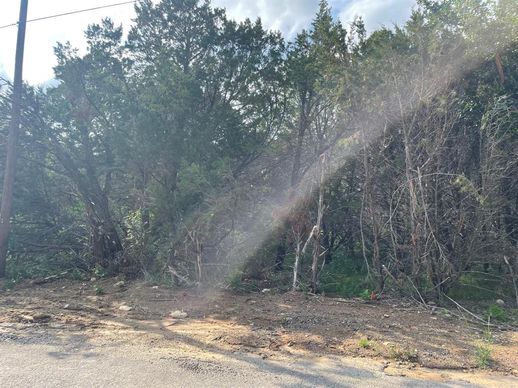 a view of a dry yard with trees