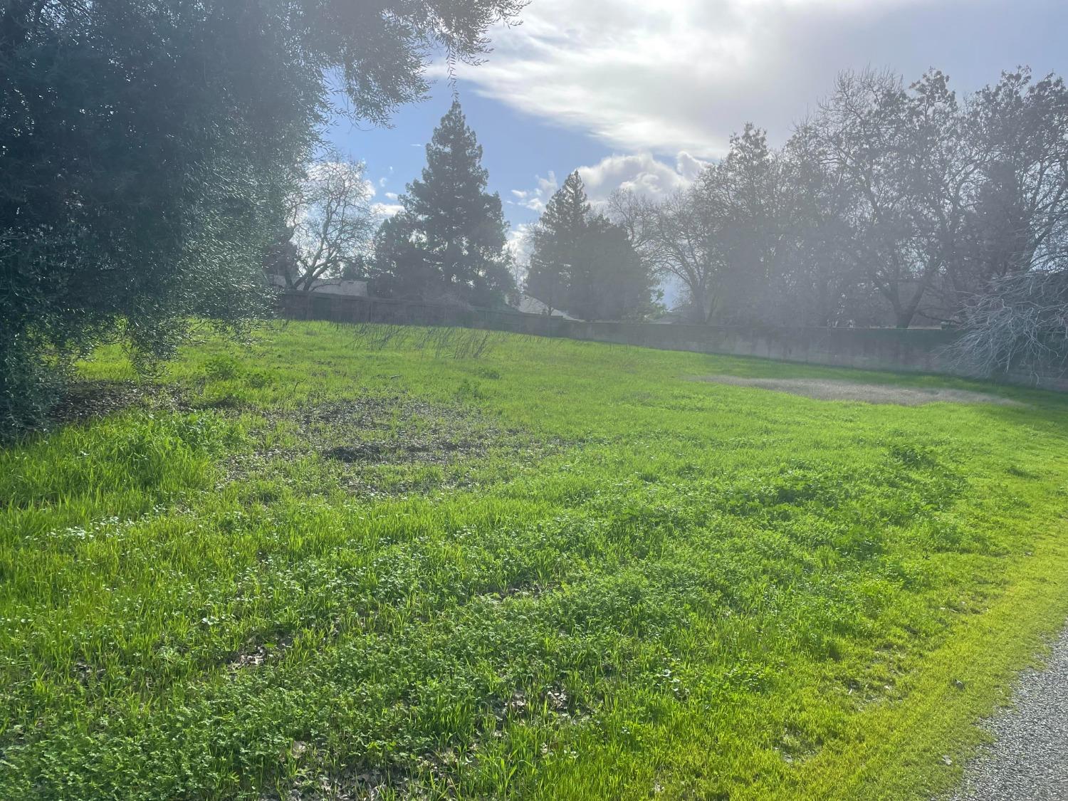 a view of yard with green space