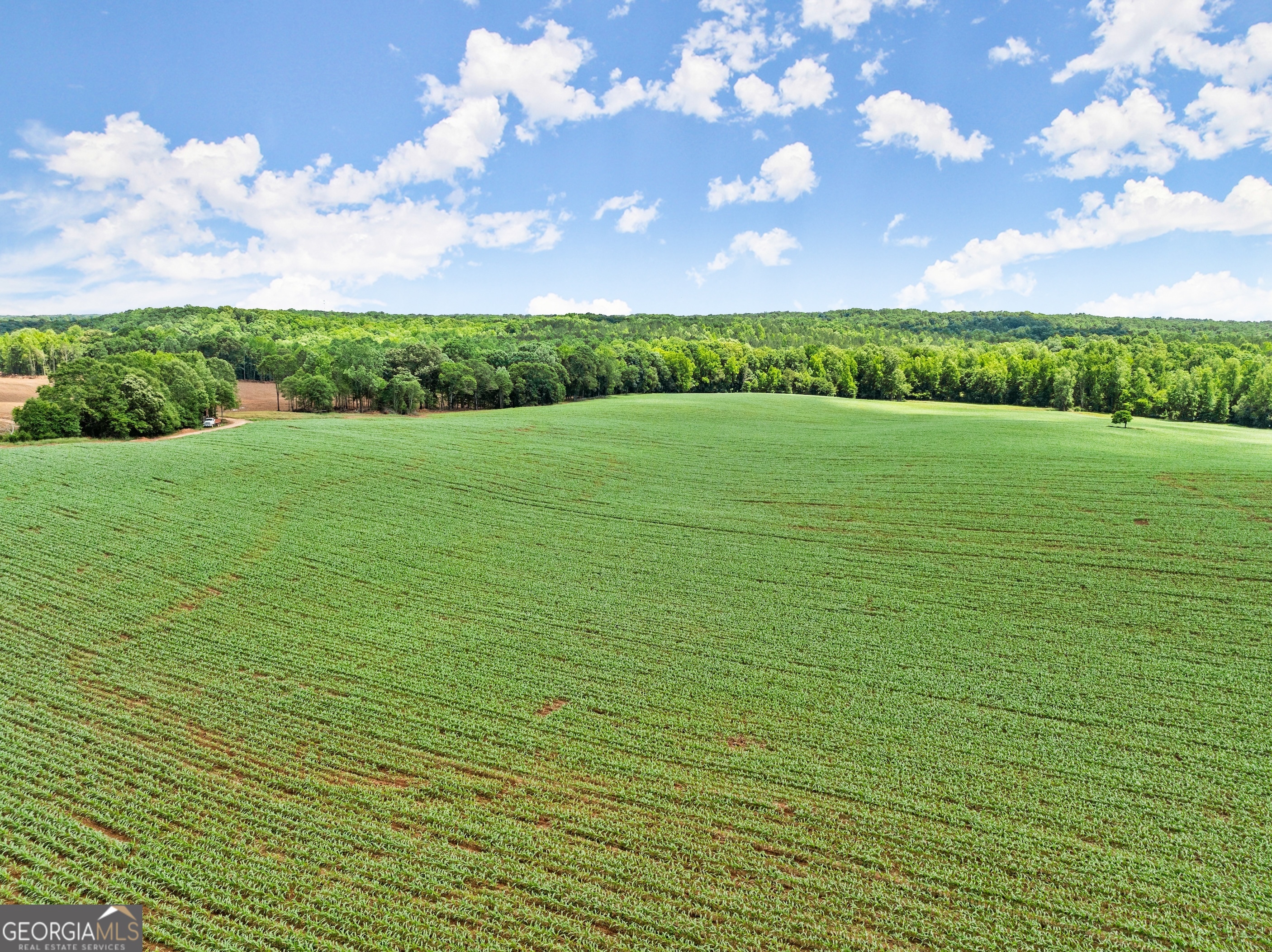 a view of a field with an ocean