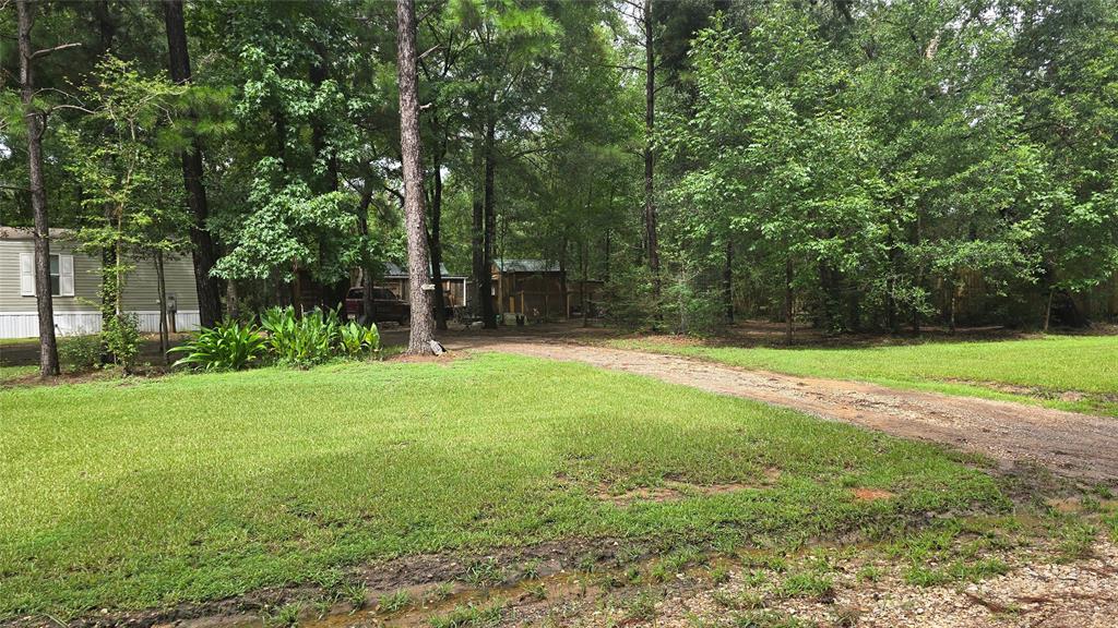 a view of a back yard