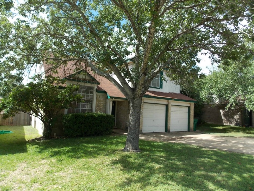 a backyard of a house with plants and large tree