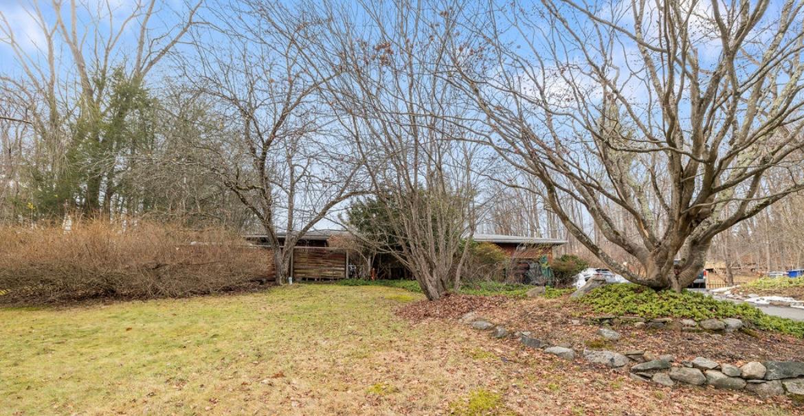 a backyard of a house with a trees