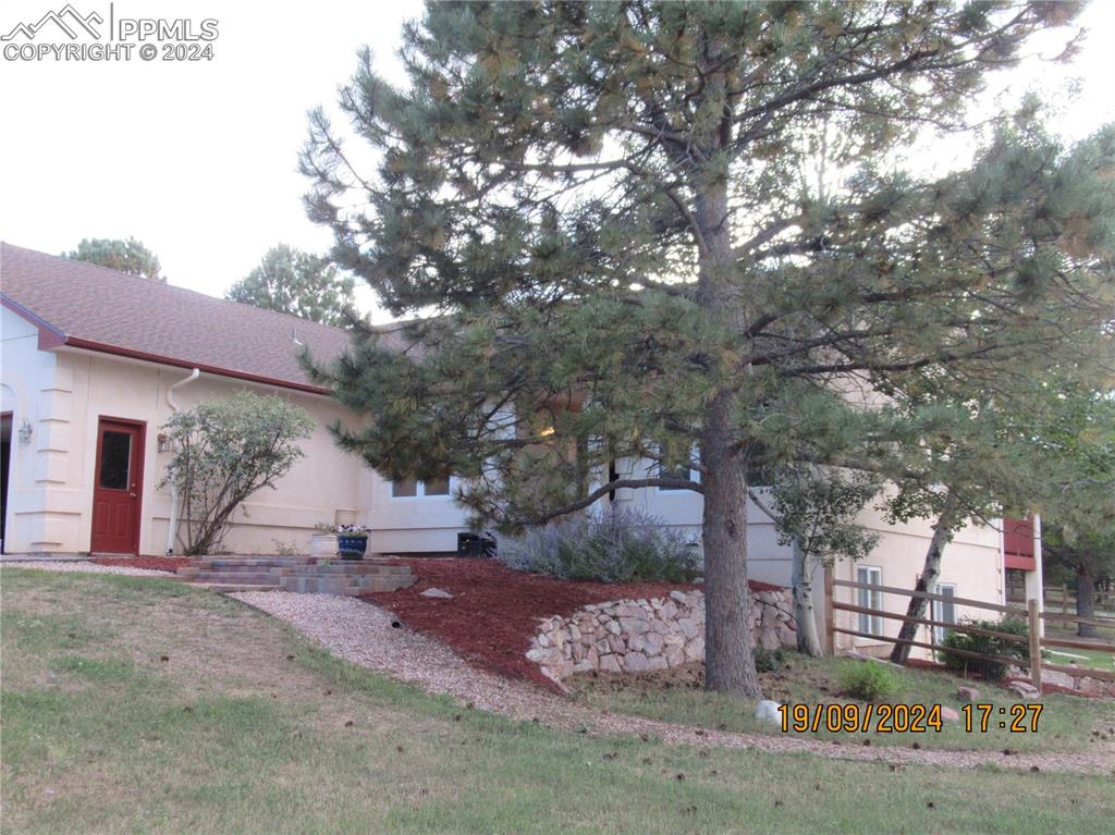 a view of a outdoor space with a tree