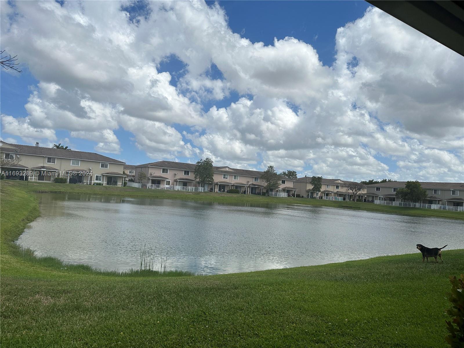 a view of a lake with houses in the back